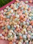 Pastel Matte Heart Beads