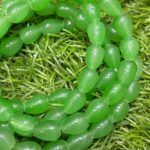 GRAPE GREEN