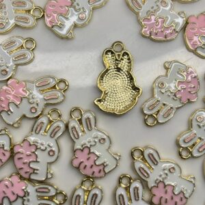 WhatsApp Image 2025-11-21 at 10.55.23 PM (1)