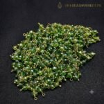 LOREAL BEADS 500 PCS ( 50 GRAM )